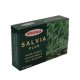 salvia plus