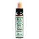 Impatiens 10 ml remedios florales de Bach