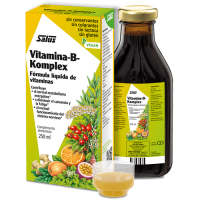 Vitamina B Komlex 250 ml