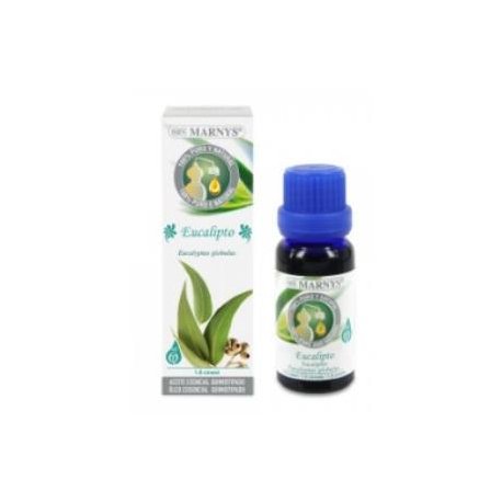 Aceite esencial de Eucalipto marnys