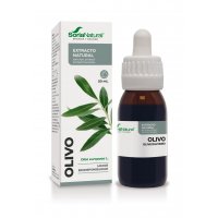 Olivo extracto 50 ml